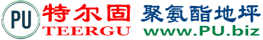 特尔固®龙岩聚氨酯地坪